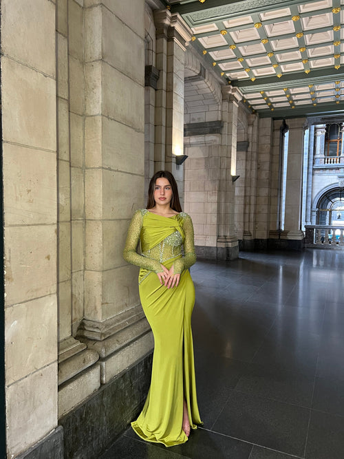 The Arisa dress